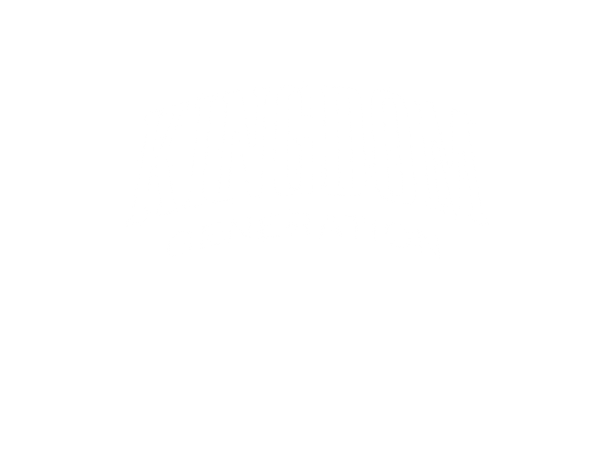 Kingdom Generation